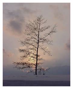 Willowtreeart